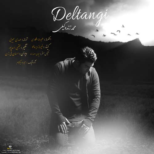 دانلود آهنگ دلتنگی